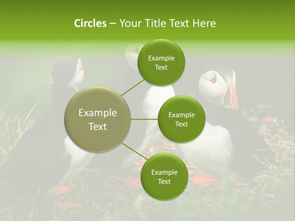 Picturesque Tourism Trip PowerPoint Template