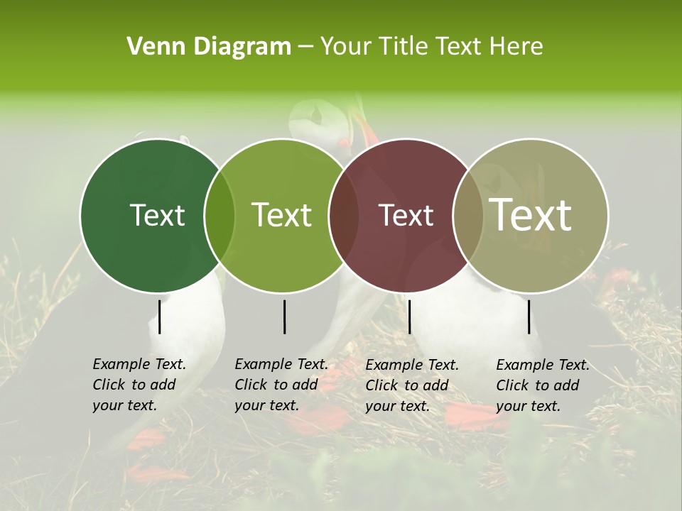 Picturesque Tourism Trip PowerPoint Template