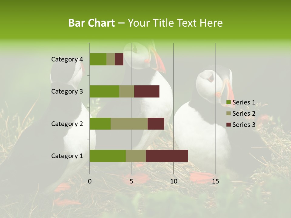 Picturesque Tourism Trip PowerPoint Template