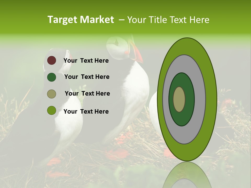 Picturesque Tourism Trip PowerPoint Template