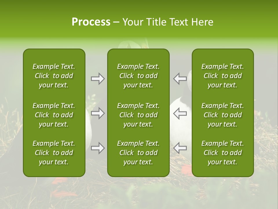 Picturesque Tourism Trip PowerPoint Template