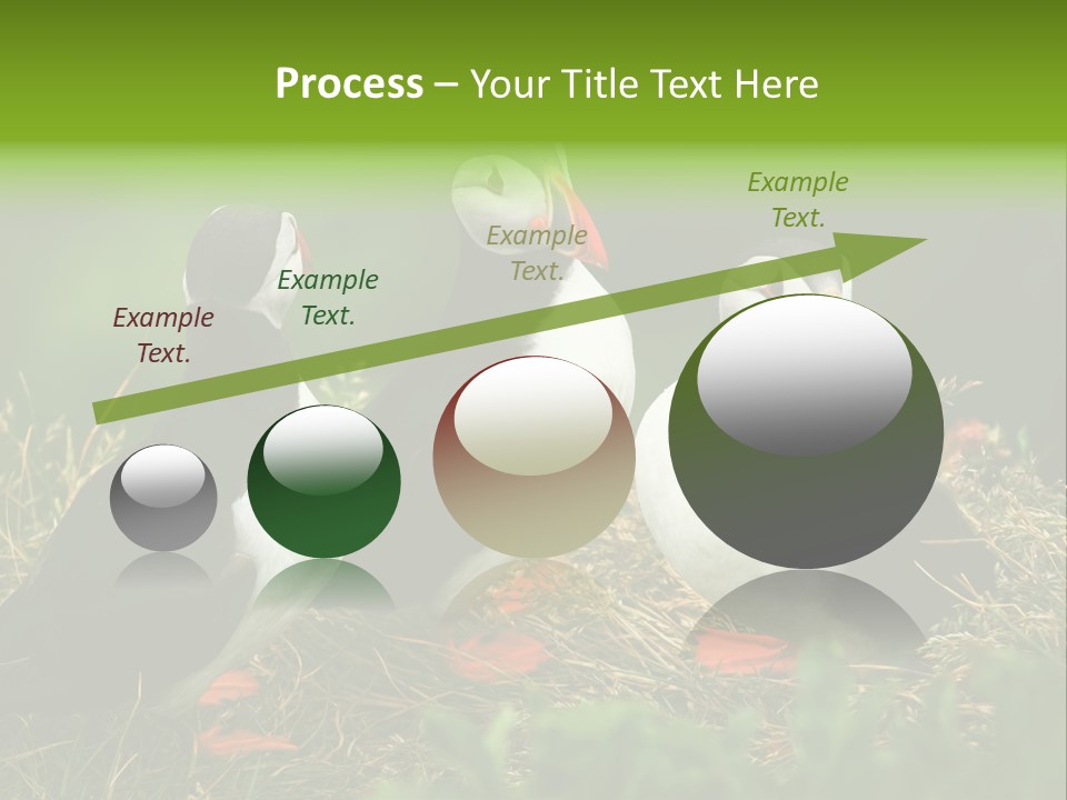 Picturesque Tourism Trip PowerPoint Template