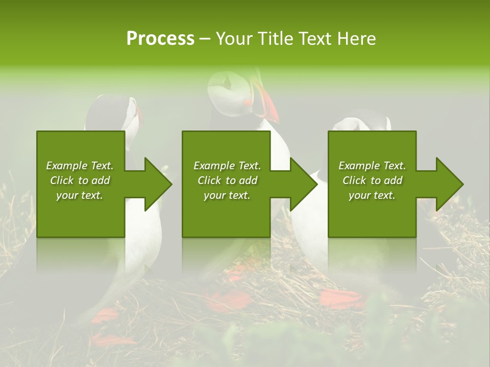 Picturesque Tourism Trip PowerPoint Template