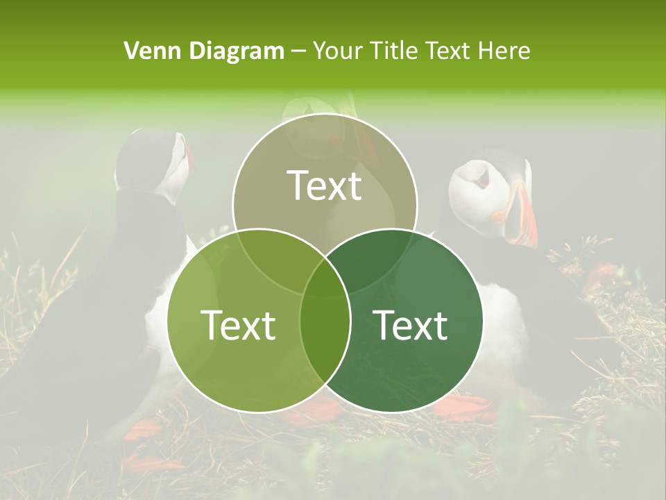 Picturesque Tourism Trip PowerPoint Template