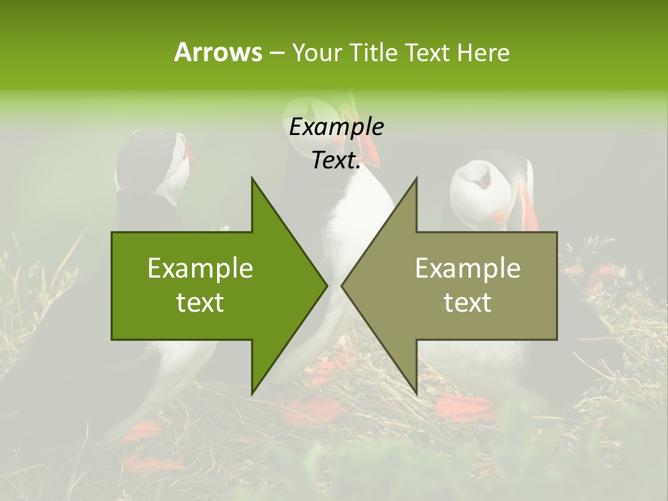 Picturesque Tourism Trip PowerPoint Template