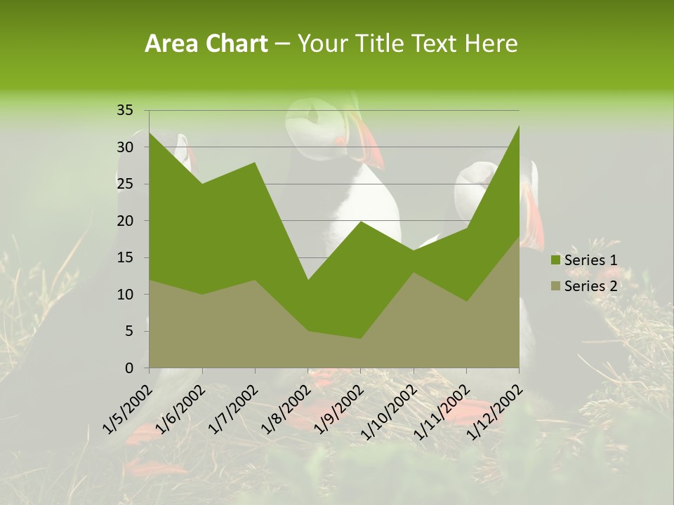Picturesque Tourism Trip PowerPoint Template