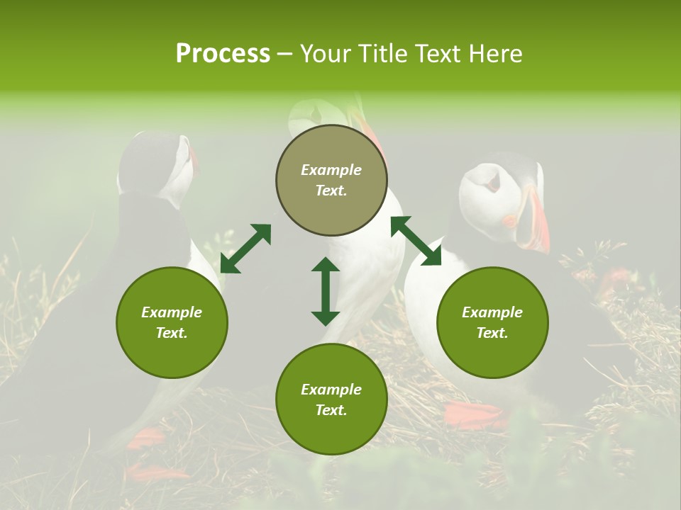 Picturesque Tourism Trip PowerPoint Template