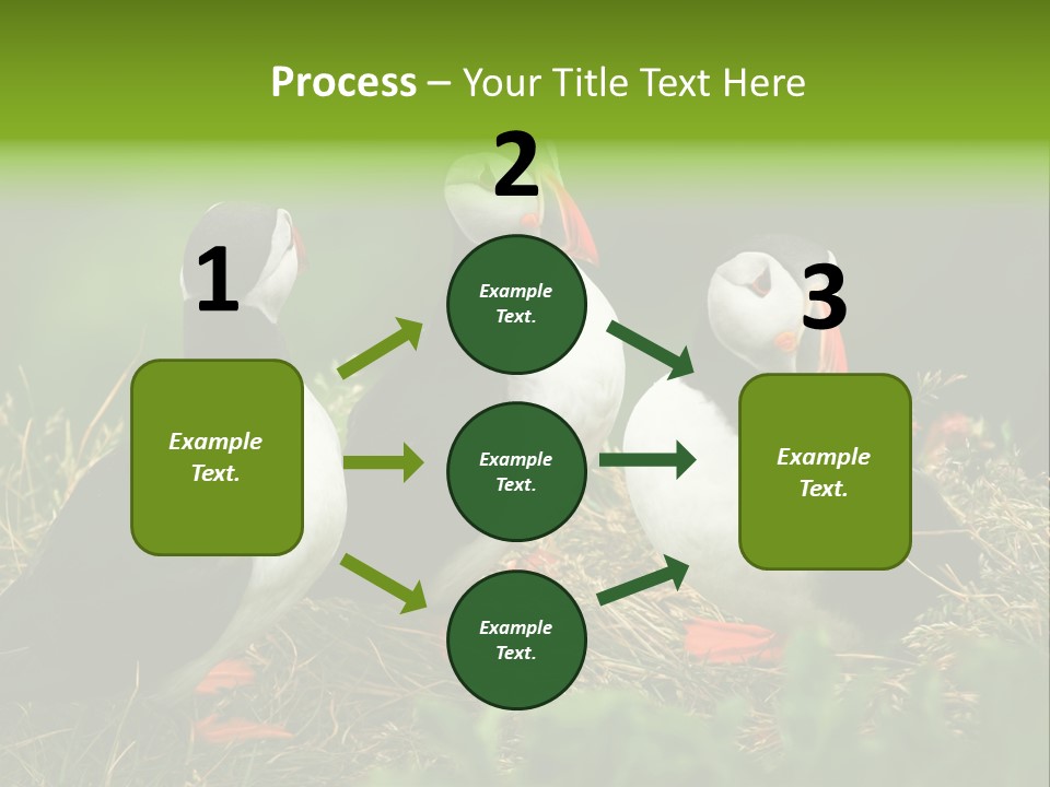 Picturesque Tourism Trip PowerPoint Template