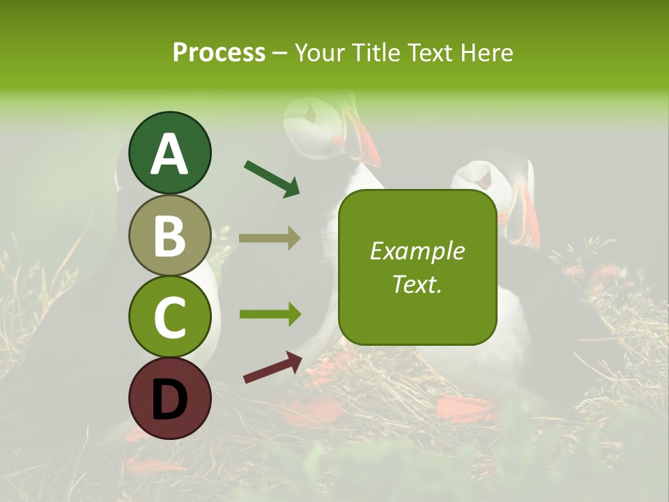 Picturesque Tourism Trip PowerPoint Template