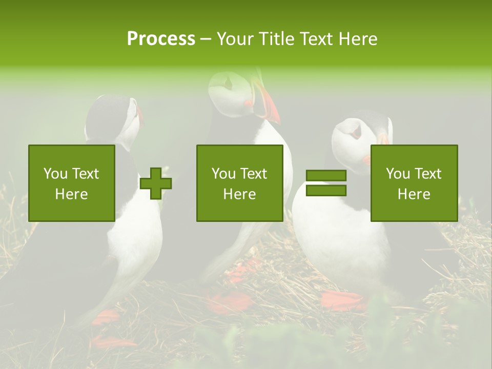 Picturesque Tourism Trip PowerPoint Template