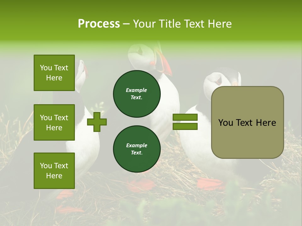 Picturesque Tourism Trip PowerPoint Template