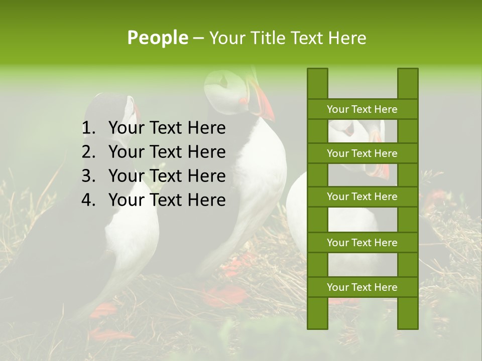 Picturesque Tourism Trip PowerPoint Template