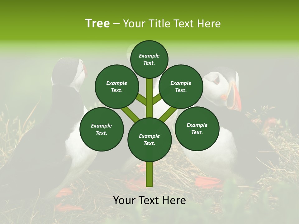 Picturesque Tourism Trip PowerPoint Template