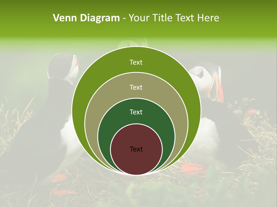 Picturesque Tourism Trip PowerPoint Template