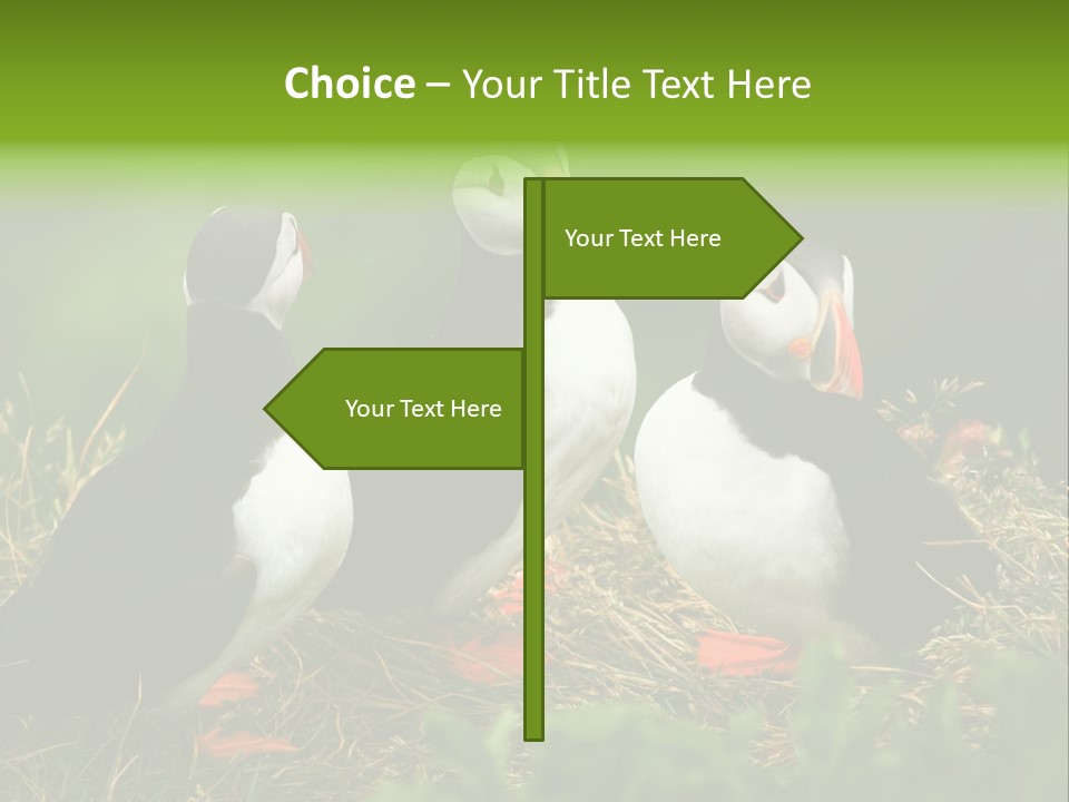 Picturesque Tourism Trip PowerPoint Template