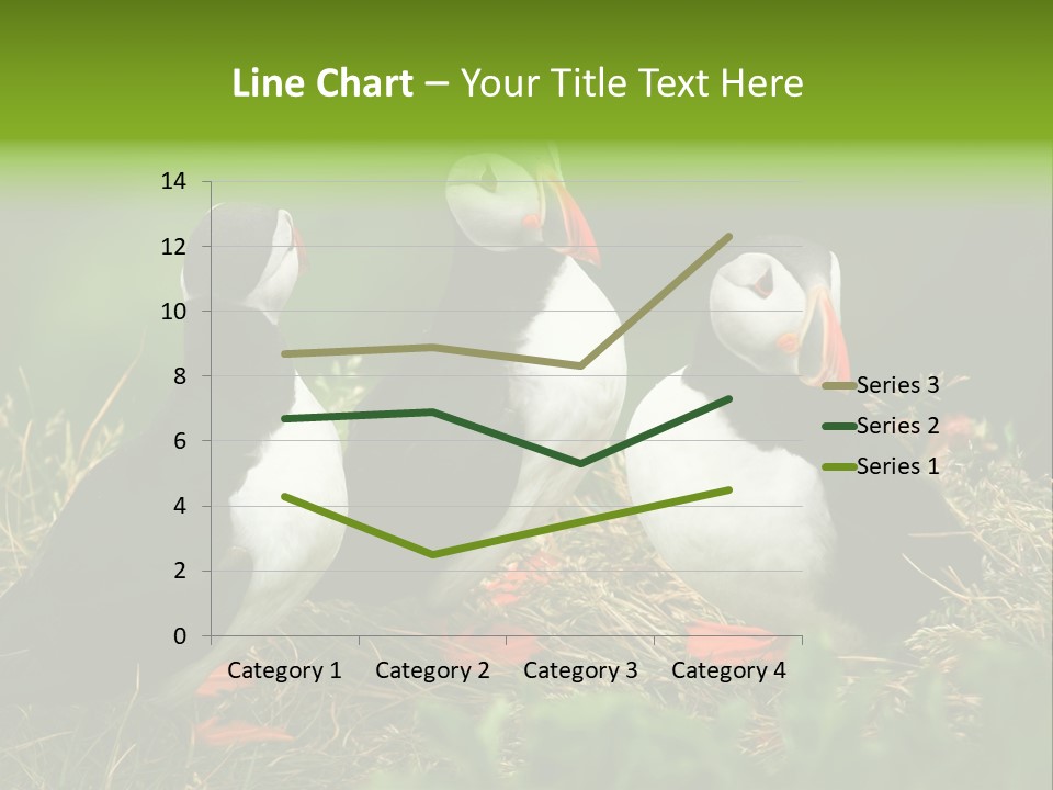 Picturesque Tourism Trip PowerPoint Template