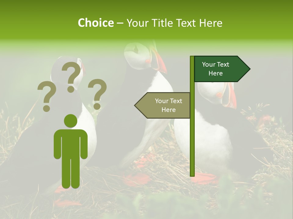 Picturesque Tourism Trip PowerPoint Template