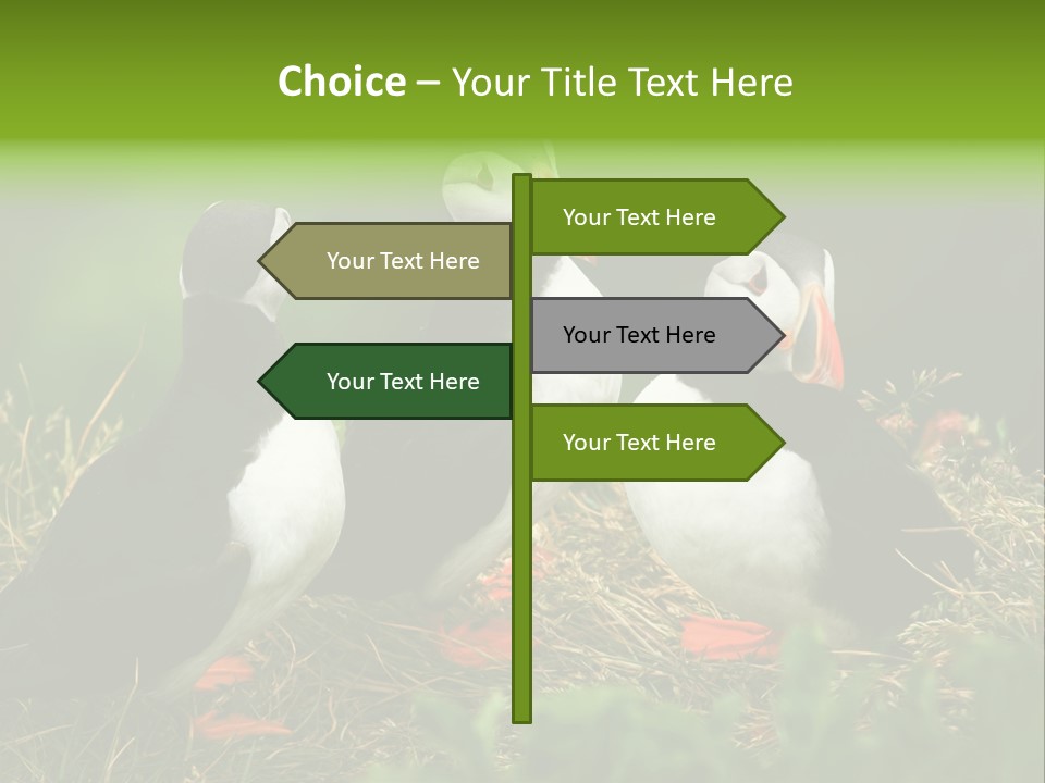 Picturesque Tourism Trip PowerPoint Template