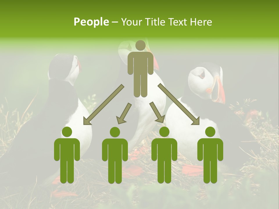 Picturesque Tourism Trip PowerPoint Template