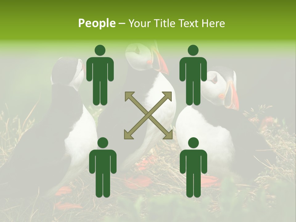 Picturesque Tourism Trip PowerPoint Template