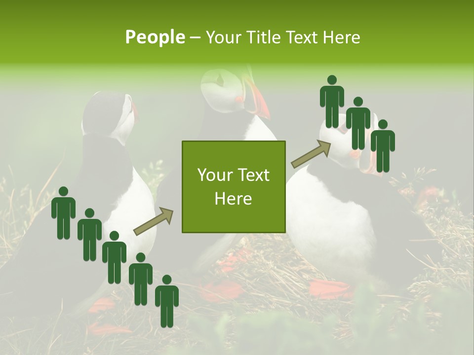 Picturesque Tourism Trip PowerPoint Template