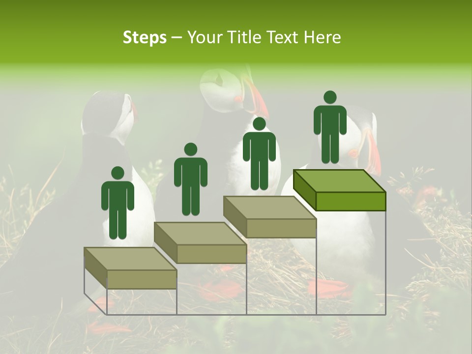 Picturesque Tourism Trip PowerPoint Template