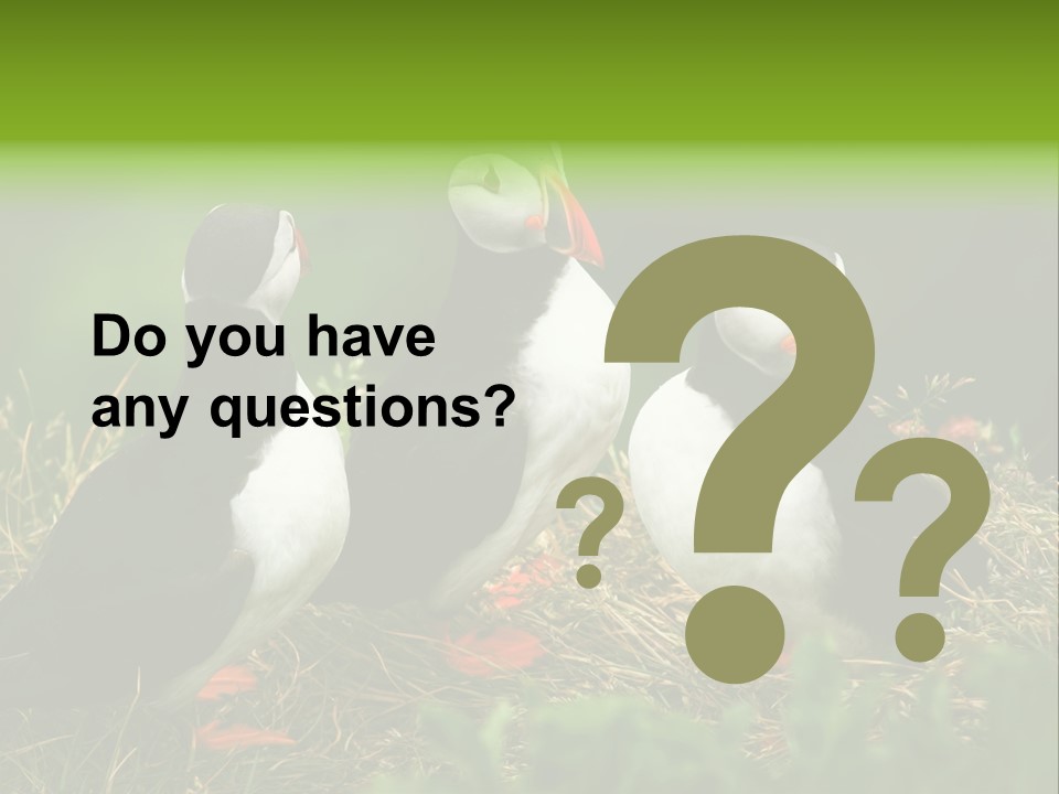 Picturesque Tourism Trip PowerPoint Template