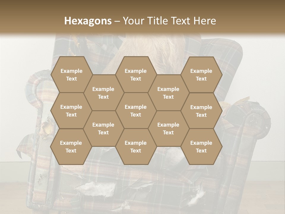 Hearth Abandonment Degradation PowerPoint Template