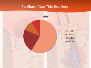 Nurse Blood Biology PowerPoint Template