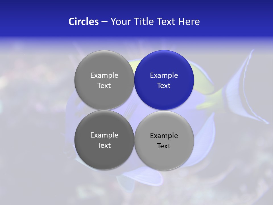 A Blue And Yellow Fish On A Coral Powerpoint Template PowerPoint Template