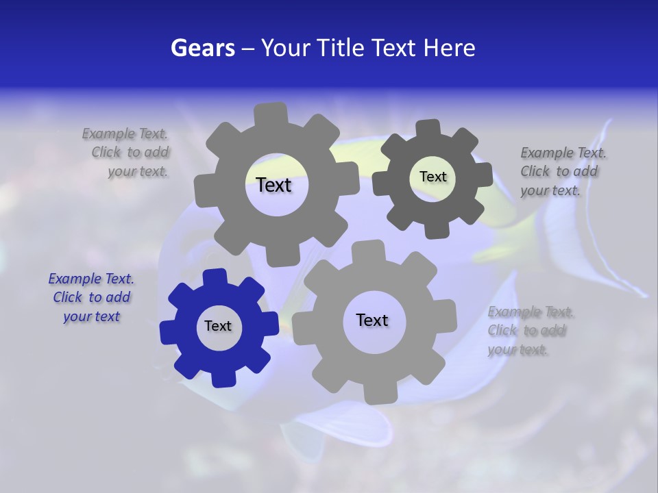 A Blue And Yellow Fish On A Coral Powerpoint Template PowerPoint Template