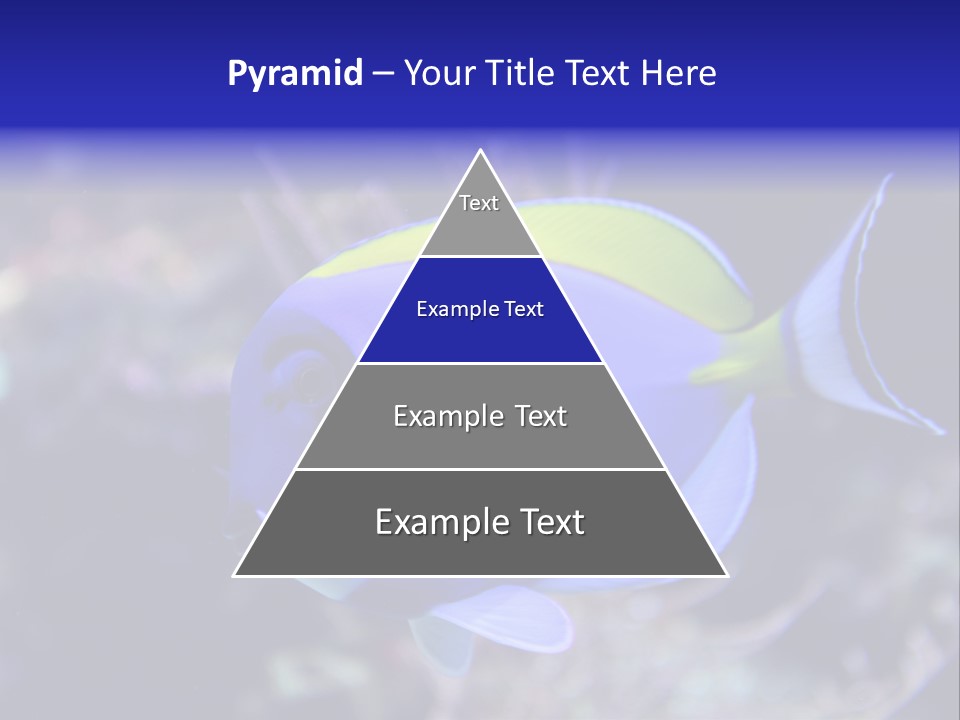 A Blue And Yellow Fish On A Coral Powerpoint Template PowerPoint Template