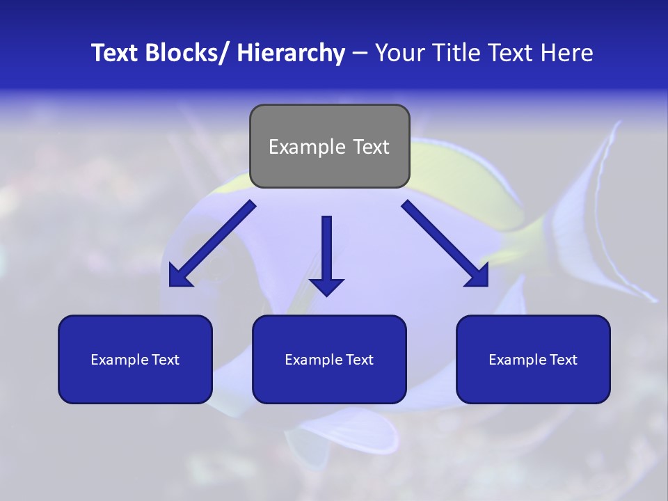 A Blue And Yellow Fish On A Coral Powerpoint Template PowerPoint Template