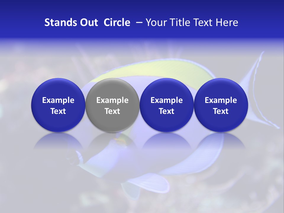 A Blue And Yellow Fish On A Coral Powerpoint Template PowerPoint Template