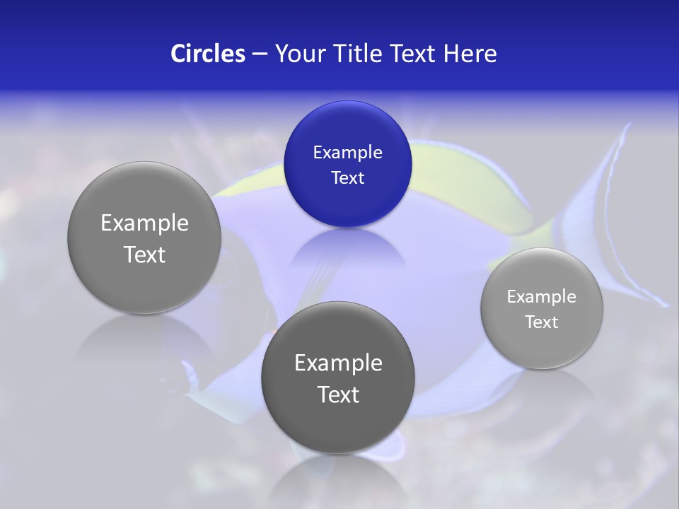 A Blue And Yellow Fish On A Coral Powerpoint Template PowerPoint Template