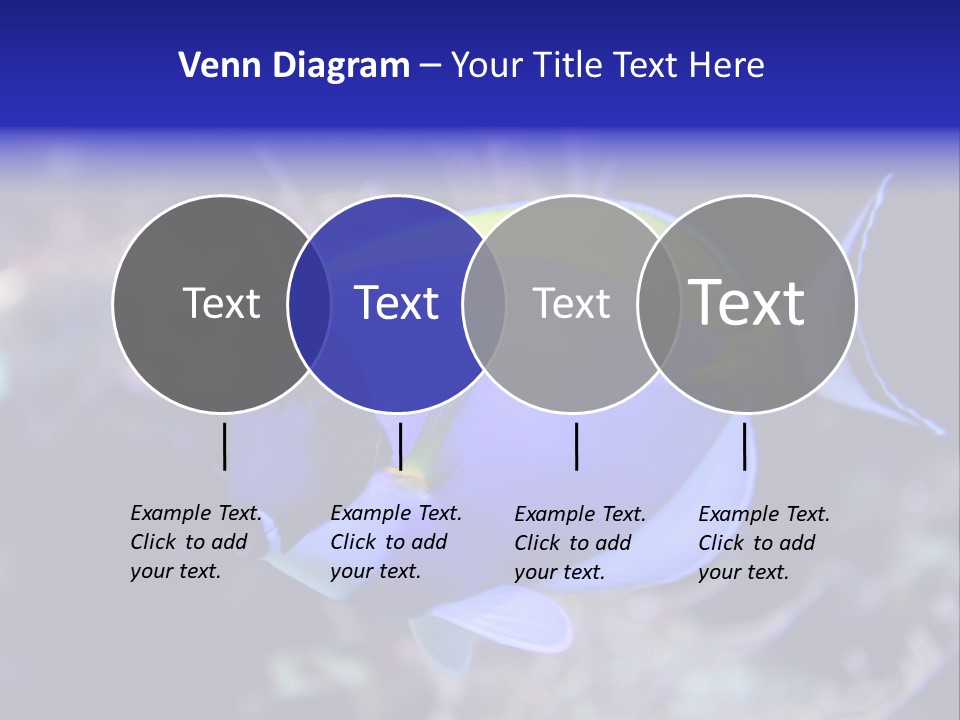 A Blue And Yellow Fish On A Coral Powerpoint Template PowerPoint Template