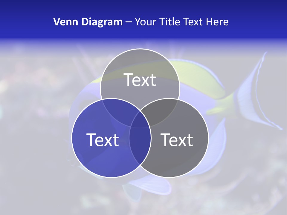 A Blue And Yellow Fish On A Coral Powerpoint Template PowerPoint Template