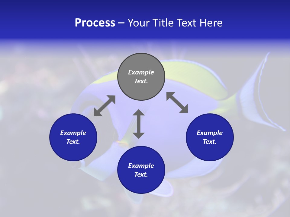 A Blue And Yellow Fish On A Coral Powerpoint Template PowerPoint Template
