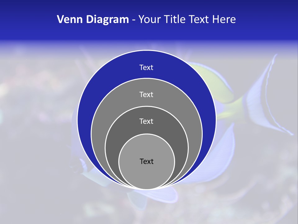 A Blue And Yellow Fish On A Coral Powerpoint Template PowerPoint Template