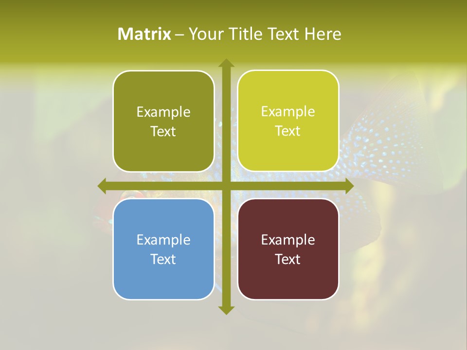 Pet Beautiful Little PowerPoint Template