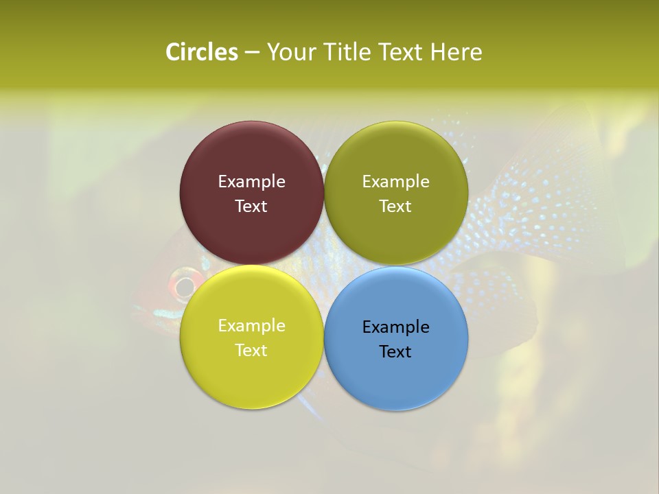 Pet Beautiful Little PowerPoint Template