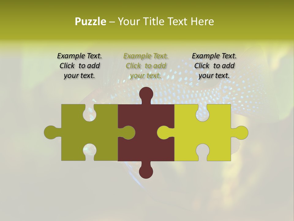 Pet Beautiful Little PowerPoint Template