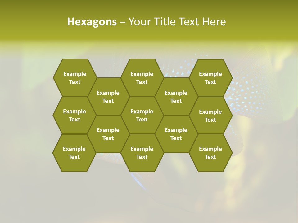 Pet Beautiful Little PowerPoint Template