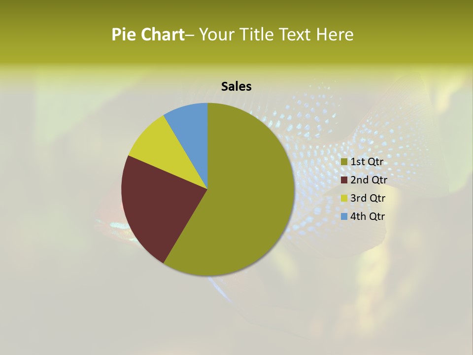 Pet Beautiful Little PowerPoint Template