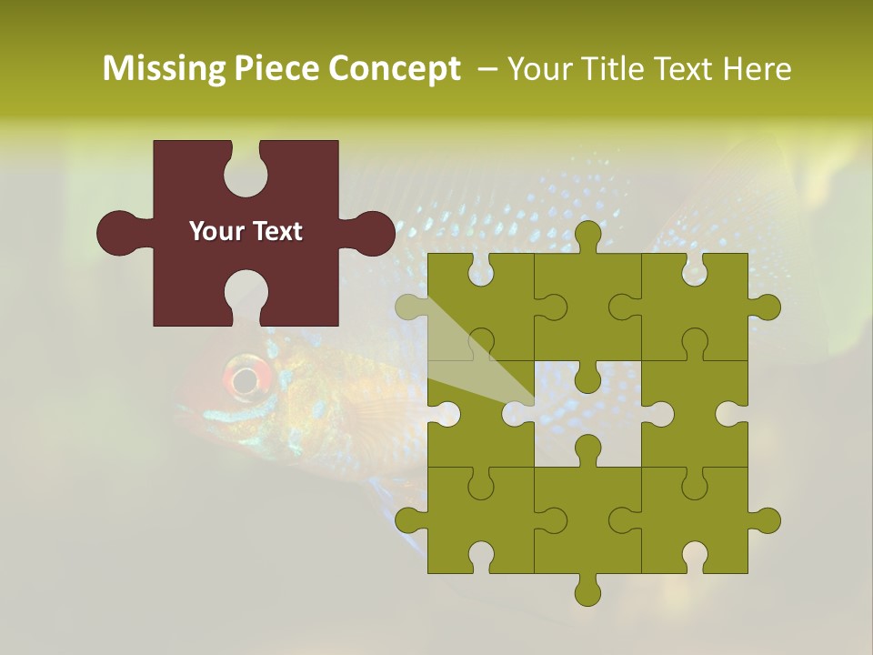 Pet Beautiful Little PowerPoint Template