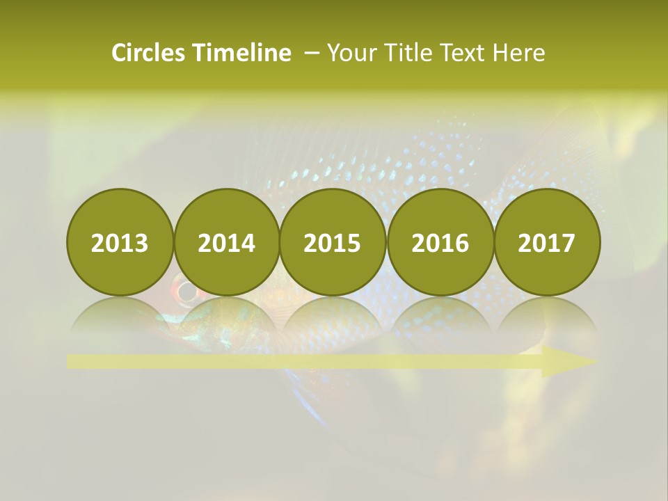 Pet Beautiful Little PowerPoint Template