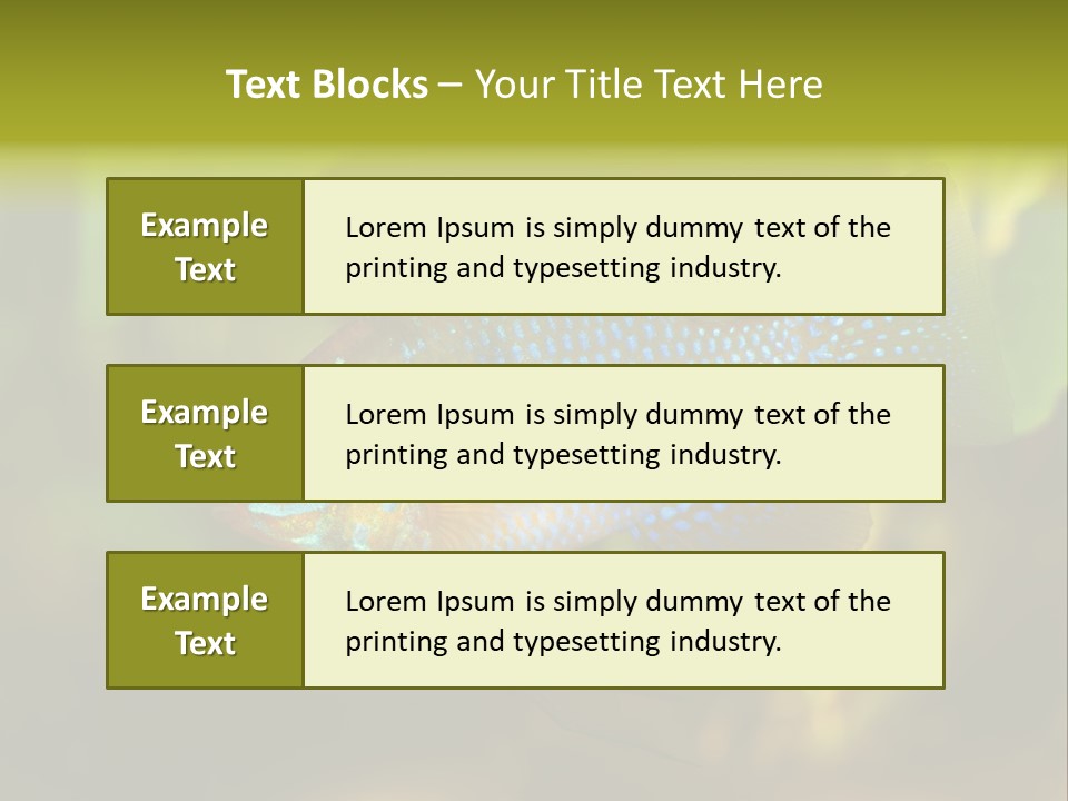 Pet Beautiful Little PowerPoint Template