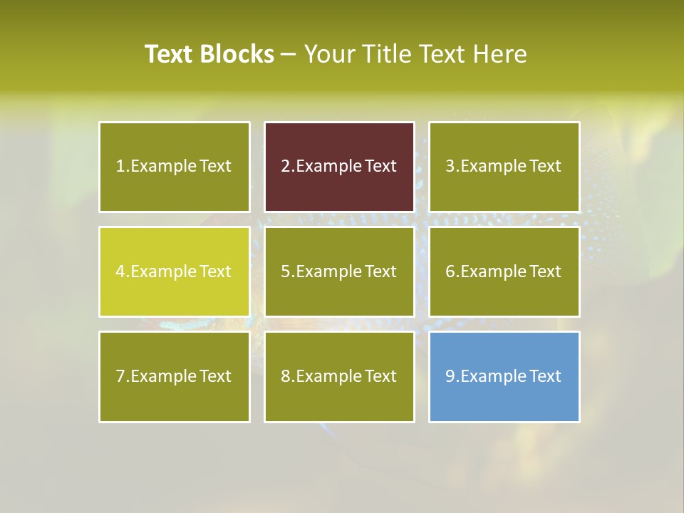 Pet Beautiful Little PowerPoint Template