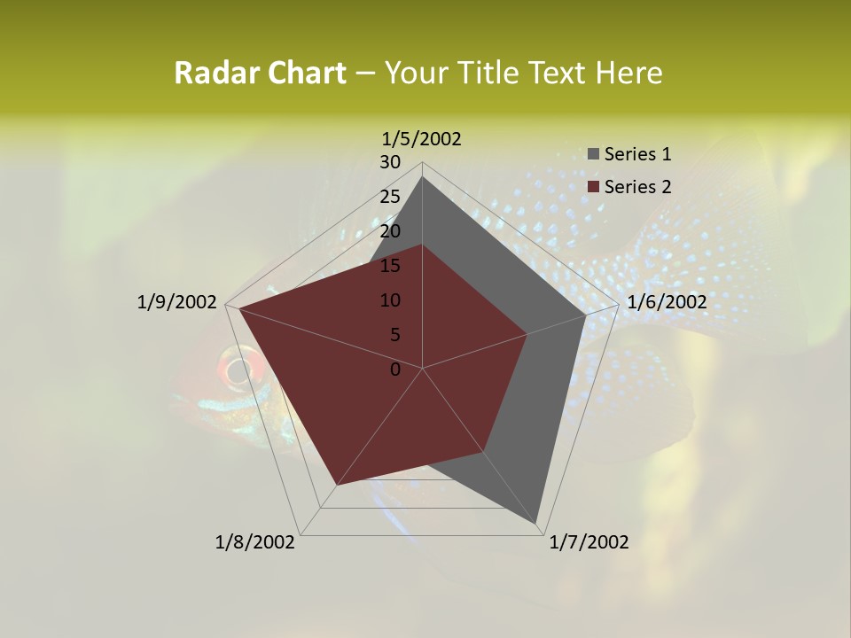 Pet Beautiful Little PowerPoint Template