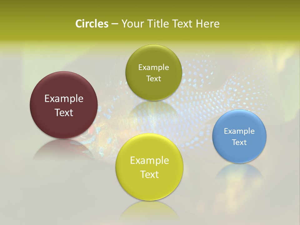 Pet Beautiful Little PowerPoint Template